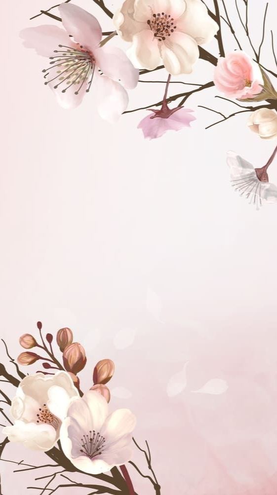 Flower Wallpaper iPhone Aesthetic Backgrounds