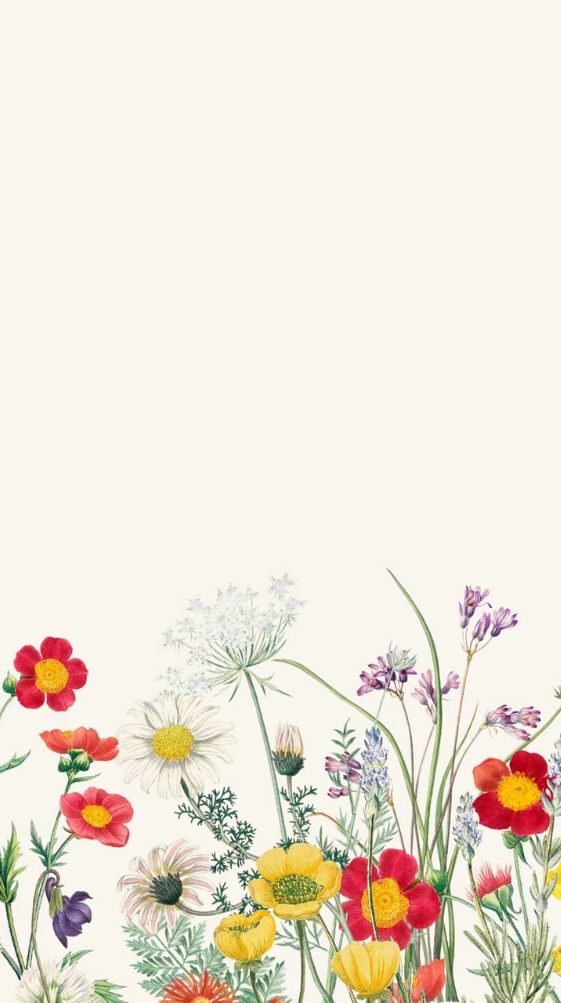 Flower Iphone Wallpaper